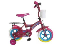 Eva Bike
