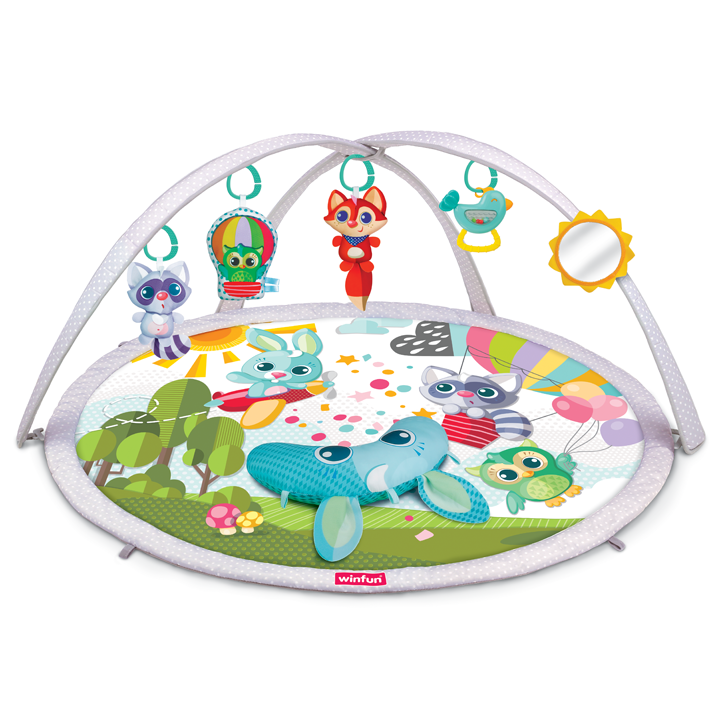 Winfun BabySpace Activity Gym 710010