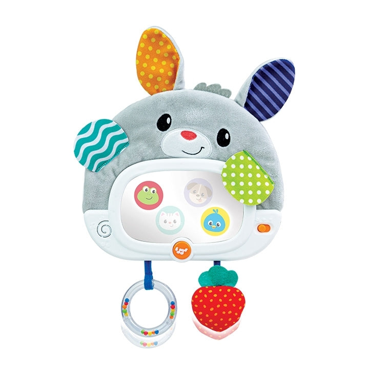 Winfun Day N' Night Bunny Pal 798