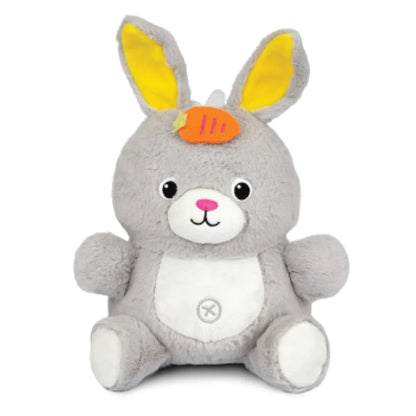 Winfun Play-with-Me Dance Pal Bunny 279