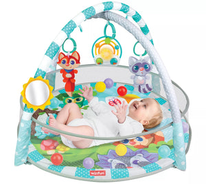 Winfun PlaySpace Play Gym and Ball Pit 710000