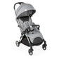 Chicco Goody Stroller